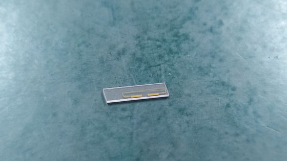 MIOC Intensity Modulator Chip, Phase Modulator Chip