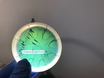 Giá tốt 2 INCH 6H-N Silicon carbide wafer Loại MPD 50 cm 330um SiC Crystal trực tuyến