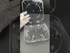 Hộp đựng wafer điều chỉnh được – Hộp đựng wafer PC trong suốt để bảo vệ chất bán dẫn